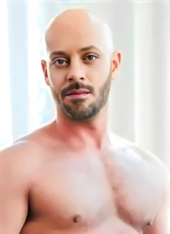 Bruno Fox